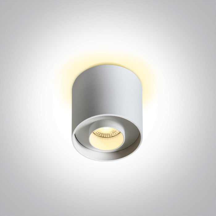 ONE Light Ceiling Light 8W 320lm + 100lm 3000K CRI90 IP20 White 12108DB/W/W