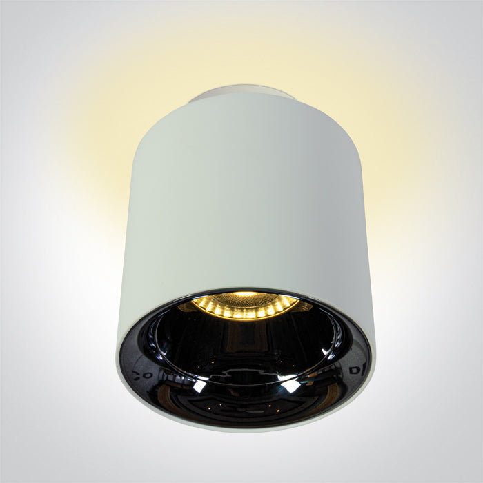 ONE Light Ceiling Light 10W+2W 1000lm 3000K CRI90 IP20 White 12112A/W/W
