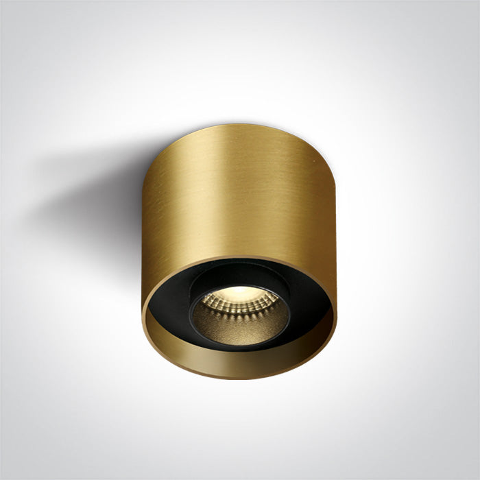 ONE Light Ceiling Light 22W 1540lm 3000K CRI90 IP20 Brushed Brass 12122D/BBS/W