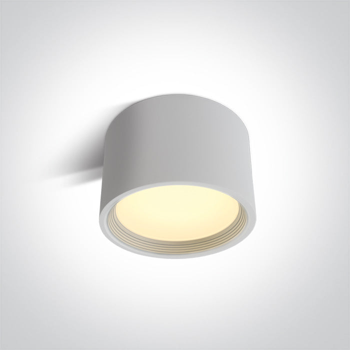 ONE Light | 12125L/W/W WHITE LED 25W WW IP40 230V - OEM NORDIC - Quality Parts Distribution