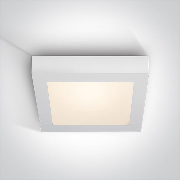 ONE Light Ceiling Light 30W 2550lm 3000K CRI80 IP40 White 62130AF/W/W