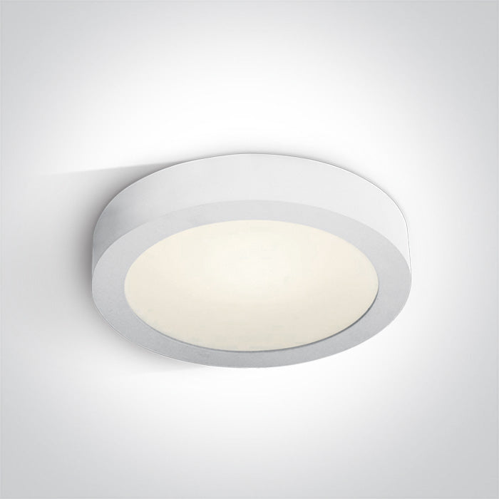ONE Light Ceiling Light 30W 2550lm 4000K CRI80 IP40 White 62130F/W/C