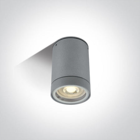 ONE Light Ceiling Light 10W IP54 Grey 67130C/G