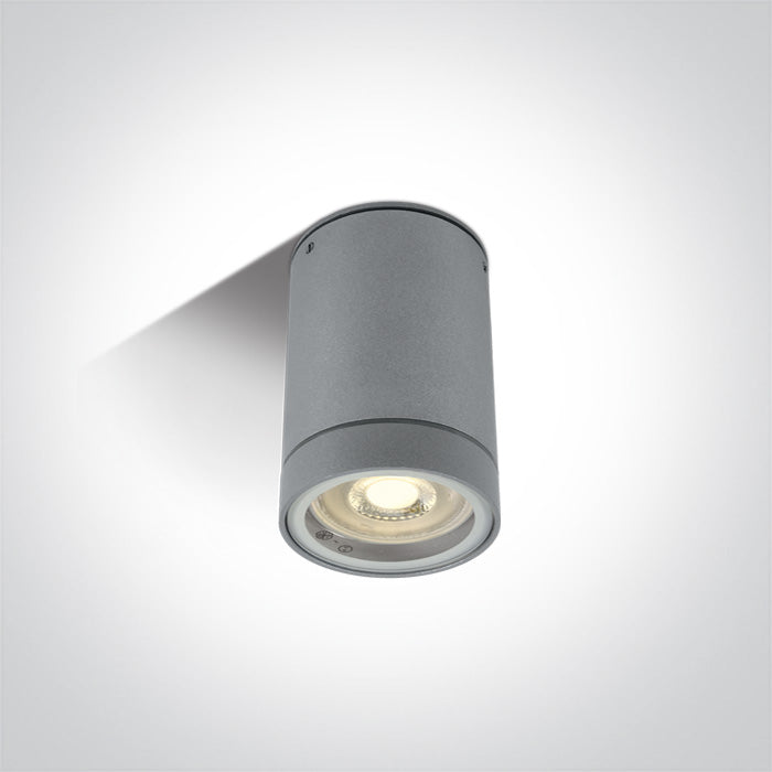 ONE Light Ceiling Light 10W IP54 Grey 67130C/G