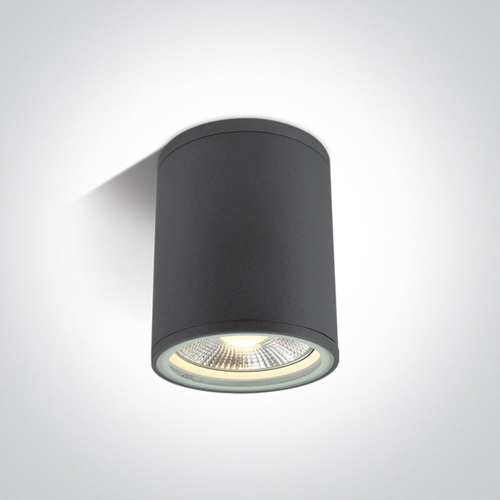 ONE Light Ceiling Light E27 20W IP54 Anthracite 67132C/AN