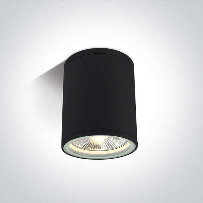 ONE Light Ceiling Light E27 20W IP54 Black 67132C/B
