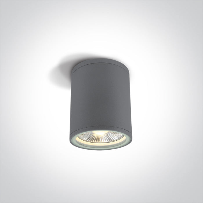 ONE Light | 67132C/G GREY CYLINDER PAR30 E27 20W IP54 - OEM NORDIC - Quality Parts Distribution