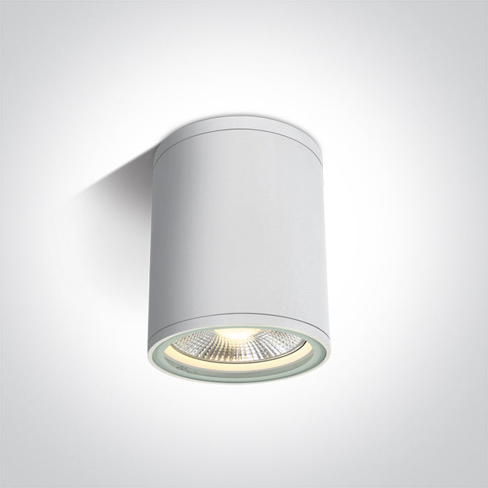 ONE Light Ceiling Light E27 20W IP54 White 67132C/W
