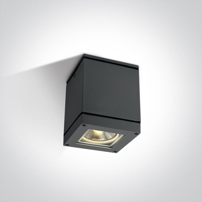 ONE Light Ceiling Light E27 20W IP54 Anthracite 67132D/AN