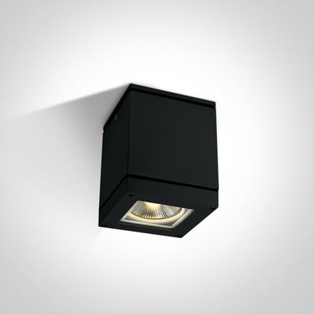 ONE Light Ceiling Light E27 20W IP54 Black 67132D/B