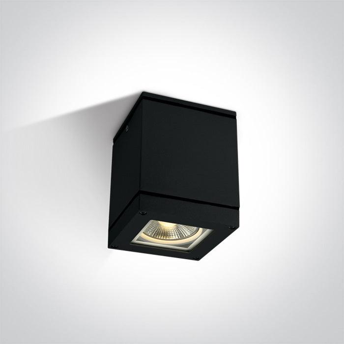ONE Light Ceiling Light E27 20W IP54 Black 67132D/B
