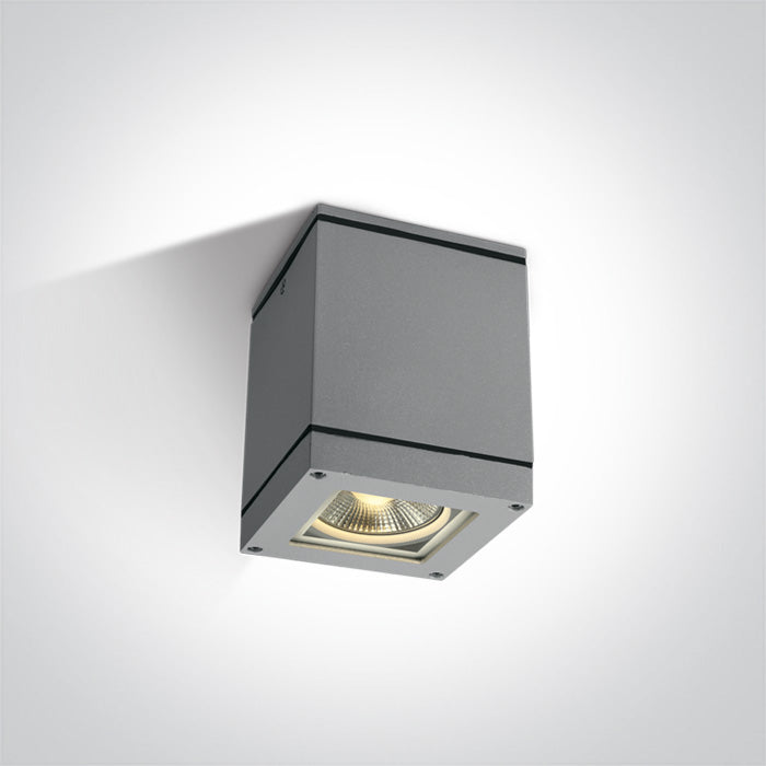 ONE Light Ceiling Light E27 20W IP54 Grey 67132D/G