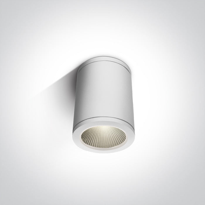 ONE Light Ceiling Light 6W 440lm 3000K CRI80 IP54 White 67138C/W/W