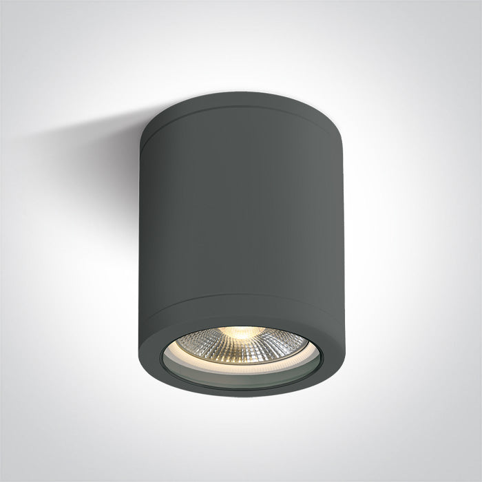 ONE Light Ceiling Light E27 10W IP65 Anthracite 67142C/AN