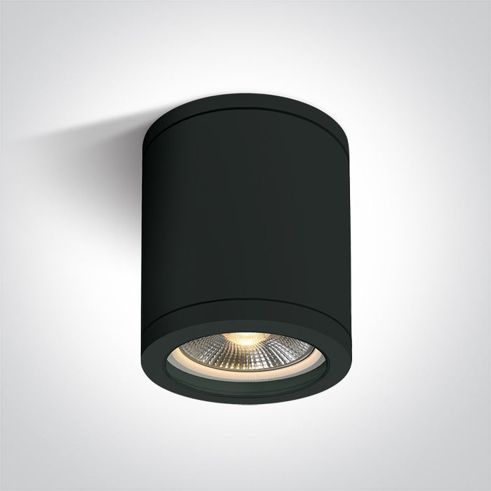 ONE Light Ceiling Light E27 10W IP65 Black 67142C/B