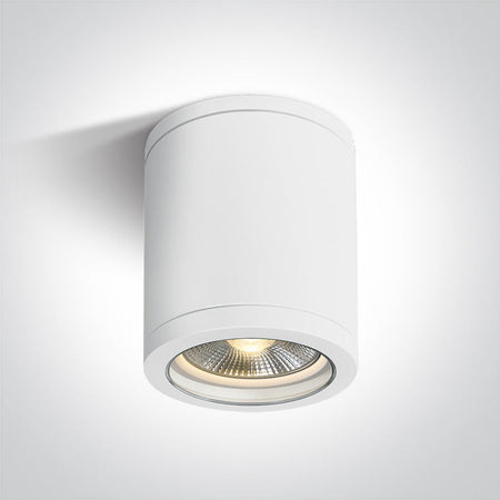 ONE Light Ceiling Light E27 10W IP65 White 67142C/W