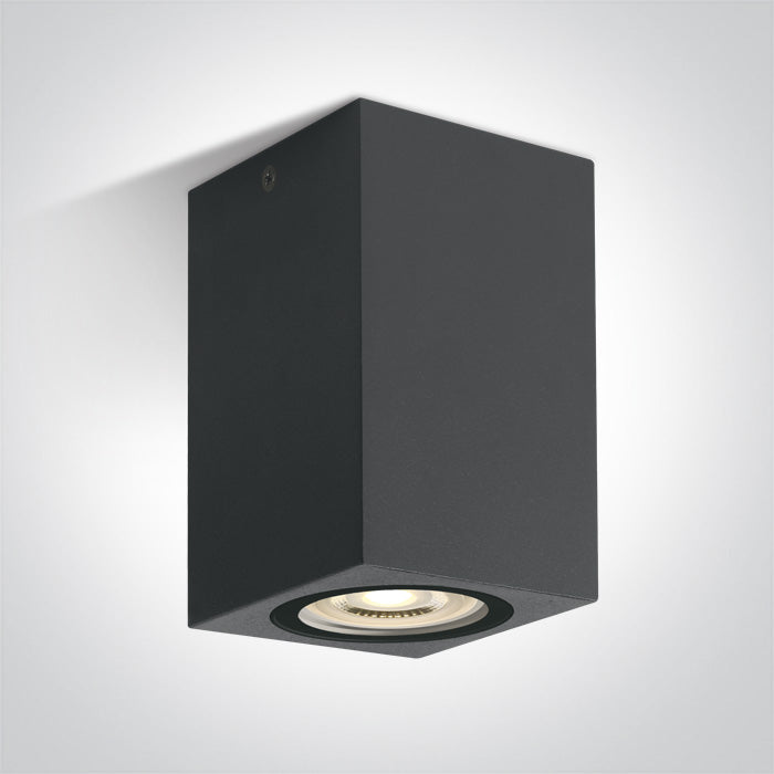 ONE Light Ceiling Light GU10 6W IP65 Anthracite 67142D/AN