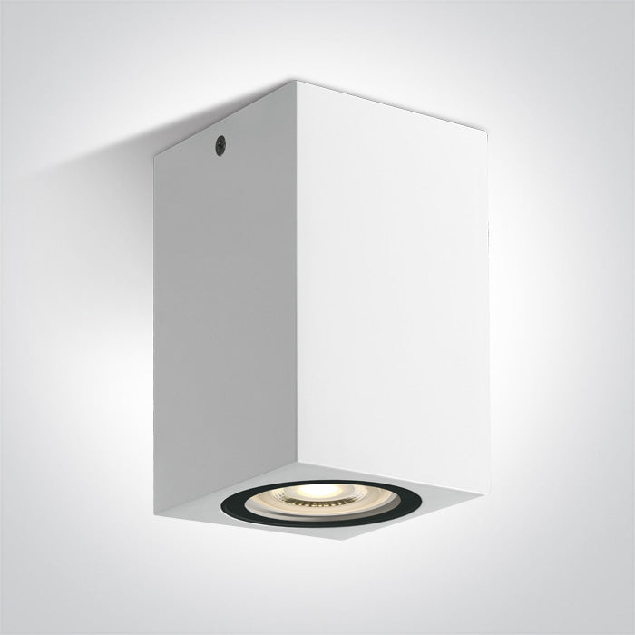 ONE Light Ceiling Light GU10 6W IP65 White 67142D/W