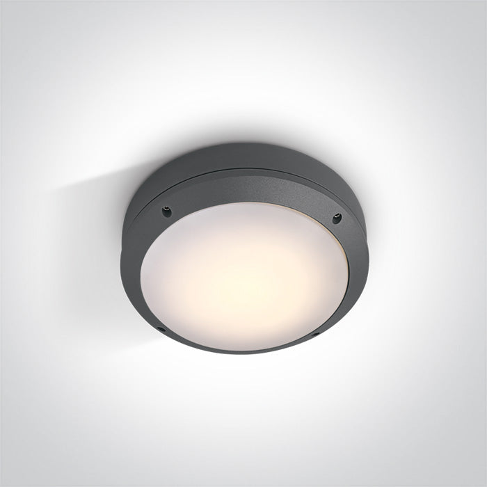 ONE Light Wall / Ceiling Light E27 12W IP54 Anthracite 67204/AN