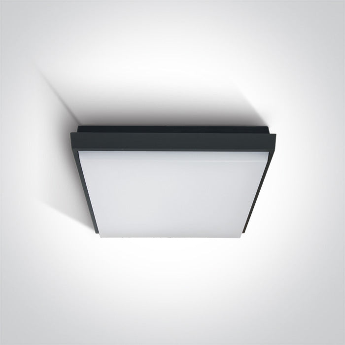 ONE Light | 67362A/AN/W ANTHRACITE PLAFO LED 20W WW IP54 230V - OEM NORDIC - Quality Parts Distribution