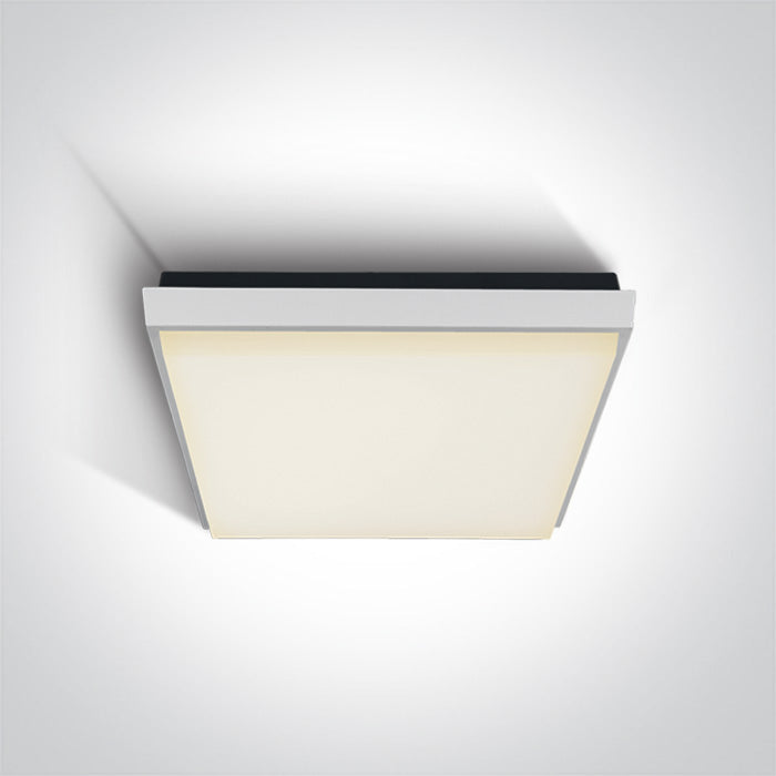 ONE Light Ceiling Light 30W 2500lm 3000K CRI80 IP54 White 67363A/W/W