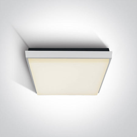 ONE Light Ceiling Light 30W 2500lm 3000K CRI80 IP54 White 67363A/W/W