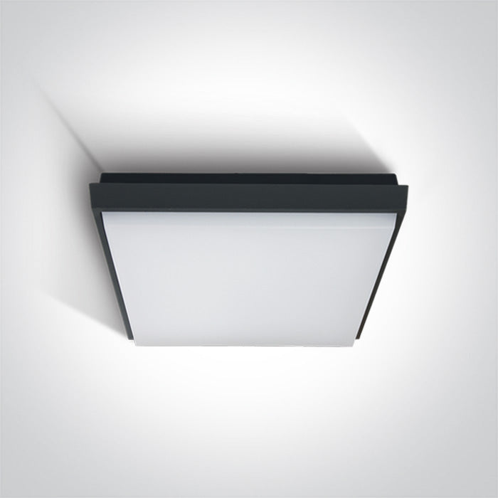 ONE Light | 67363A/AN/W ANTHRACITE PLAFO LED 30W WW IP54 230V - OEM NORDIC - Quality Parts Distribution