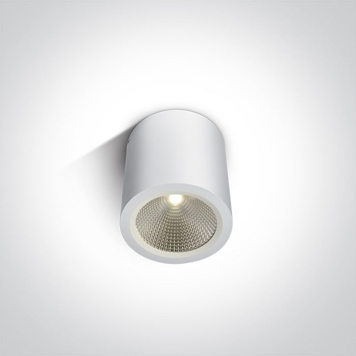 ONE Light Ceiling Light 10W 700lm 3000K CRI80 IP54 White 67380/W/W