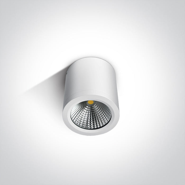 ONE Light Ceiling Light 10W 700lm 3000K CRI80 IP54 White 67380/W/W