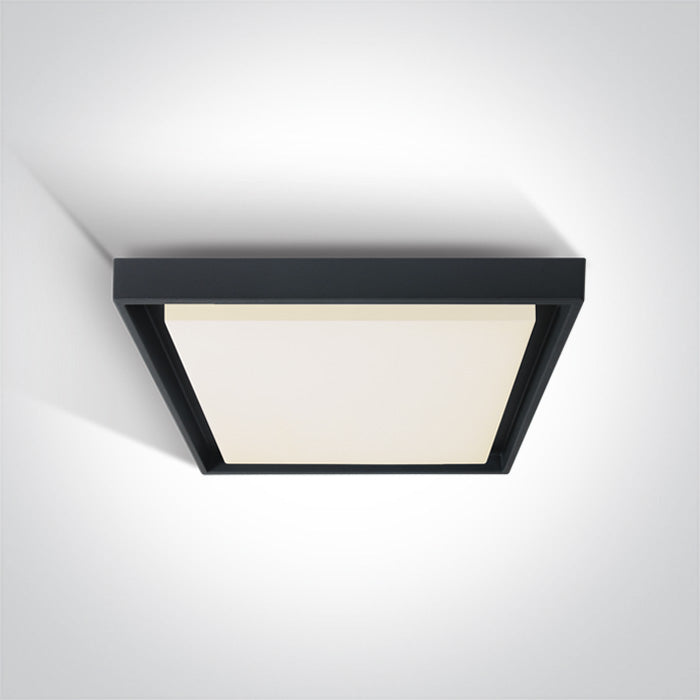 ONE Light | 67384A/AN/W ANTHRACITE PLAFO LED 30W WW IP54 230V - OEM NORDIC - Quality Parts Distribution
