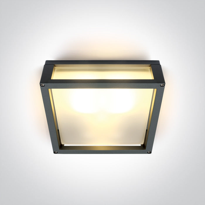 ONE Light Wall / Ceiling Light E27 2X12W IP54 Anthracite 67420B/AN