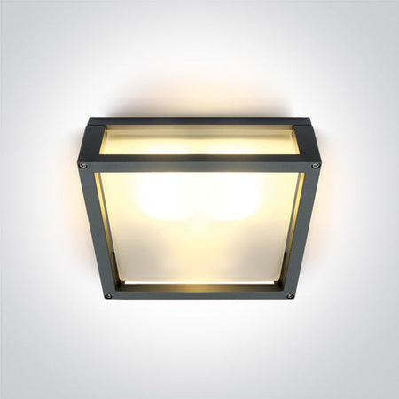ONE Light Wall / Ceiling Light E27 2X12W IP54 Anthracite 67420B/AN