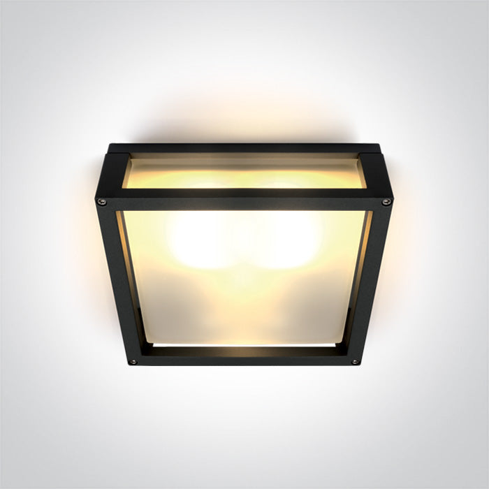 ONE Light Wall / Ceiling Light E27 2X12W IP54 Black 67420B/B